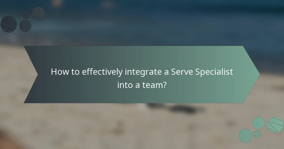 How to effectively integrate a Serve Specialist into a team?
