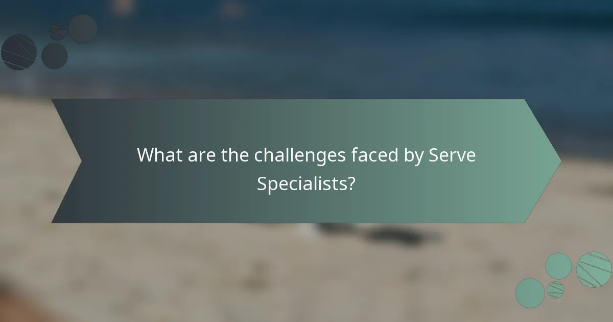 What are the challenges faced by Serve Specialists?