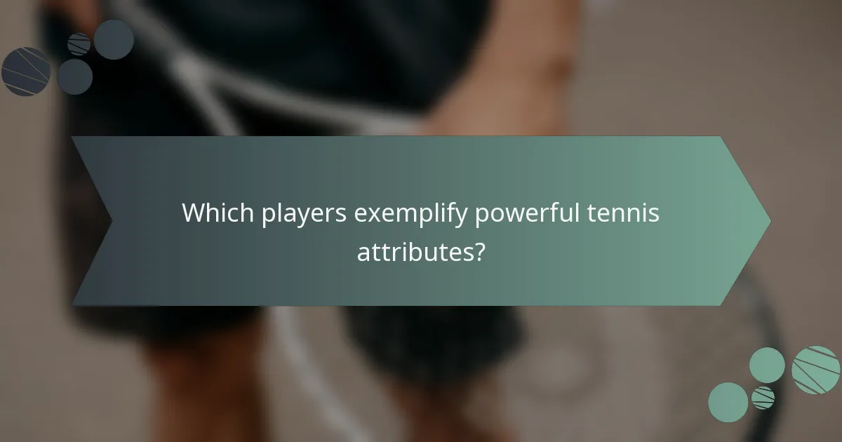 Which players exemplify powerful tennis attributes?